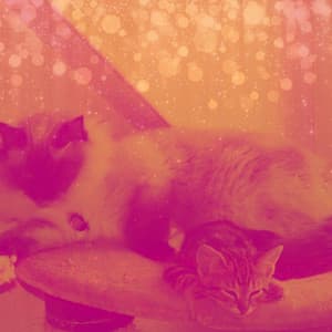 Sublime Background for Cozy Kittens - For Cats Only
