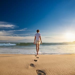 El Viaje De La Meditación: Sonidos Para Una Concentración Profunda - Ecos Celestiales