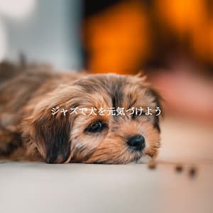 ジャズで犬を元気づけよう - Easy Listening Instrumental Music