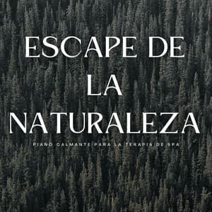 Escape De La Naturaleza: Piano Calmante Para La Terapia De Spa - Etiqueta de la naturaleza