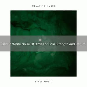 2021 New: Gentle White Noise Of Birds For Gain Strength And Return - Ruido Blanco Para Dormirse Fácilmente