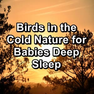 Birds in the Cold Nature for Babies Deep Sleep - Bird Sounds