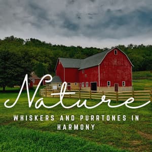 Whiskers and Purrtones in Harmony: Sound Journeys - Some Music