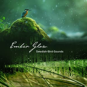 Ember Glow - Swedish-Bird-Sounds