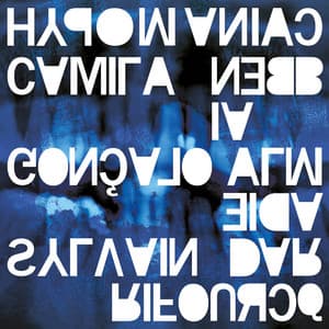 Hypomaniac - Sylvain Darrifourcq