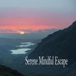 Serene Mindful Escape - Música Relajante