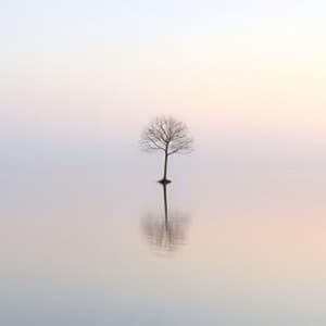 Radiant Calm - Deu Terapia