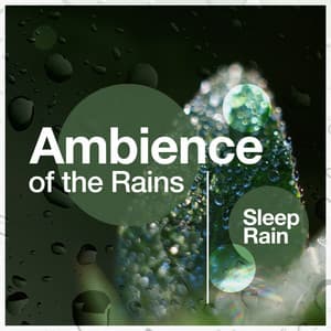 Ambience of the Rains - Sleep Rain