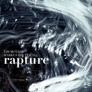 Rapture - Tim Motzer