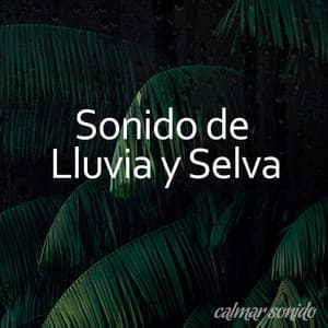 Sonido de Lluvia y Selva - Prince Sereno