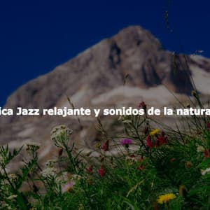 Música Jazz relajante y sonidos de la naturaleza - Vancouver Jazz Band