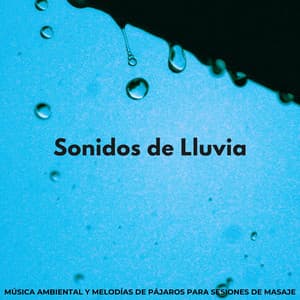 Sonidos De Lluvia: Música Ambiental Y Melodías De Pájaros Para Sesiones De Masaje - Sonidos de lluvia agradables y ruidosos