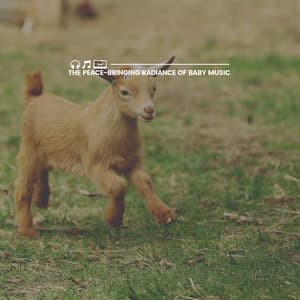 The Peace-bringing Radiance of Baby Music - Kids Music