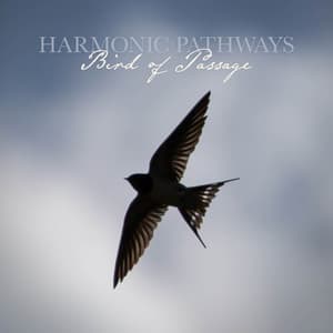 Bird of Passage - Harmonic Pathways