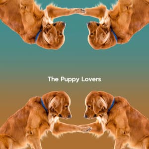 The Puppy Lovers - Instrumental Music for Concentration