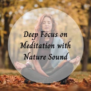 Deep Focus on Meditation with Nature Sound - Concentration Help