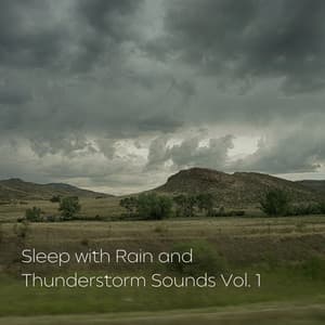 Sleep with Rain and Thunderstorm Sounds Vol. 1 - The Deep Sleep Music Academy