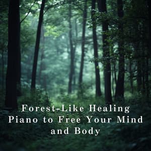Forest-Like Healing Piano to Free Your Mind and Body - Relaxing BGM Project