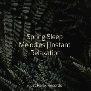 Spring Sleep Melodies | Instant Relaxation - Deep Sleep Meditation