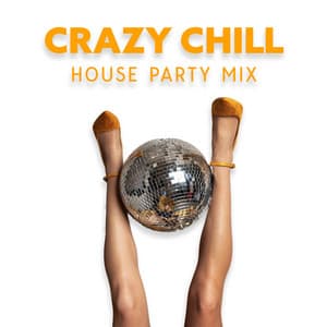 Crazy Chill House Party Mix - Chill Cafe Tunes