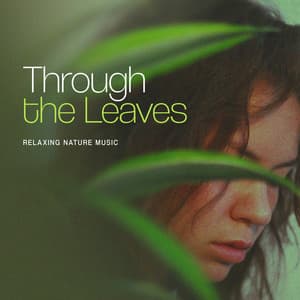Through the Leaves - Relaxing Nature Music