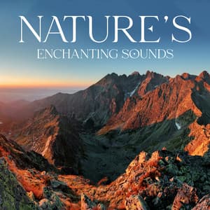 Nature's Enchanting Sounds: Calm Meditation to Connect You with the Mother Earth, Evoke Deep Serenity and Relaxation - Relaxation New Age Melodies