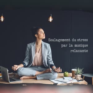 Soulagement du stress par la musique relaxante: Bien être au travail - Ensemble de Musique Zen Relaxante