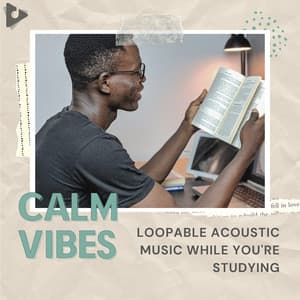 Loopable Acoustic Music While You're Studying - Calm Vibes