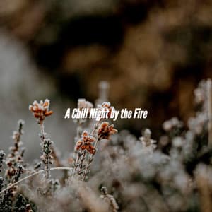 A Chill Night by the Fire - Music for Programming