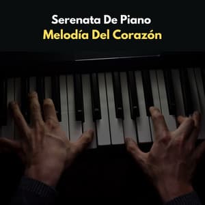 Serenata De Piano: Melodía Del Corazón - Lista de reproducción Smooth Jazz Chill Out