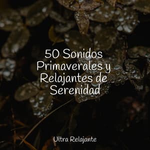 50 Sonidos Primaverales y Relajantes de Serenidad - Meditação Yoga