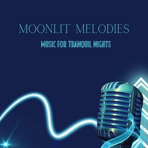 Moonlit Melodies: Music For Tranquil Nights - Night Time Chill Out Playlist
