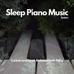 Crickets and Forest Ambience with Piano - Sleep Piano Music System