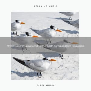 White Noise Of Waves And Mother Earth For Good Deep Relaxation - The Noise Project
