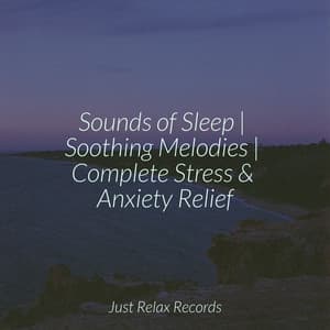 Sounds of Sleep | Soothing Melodies | Complete Stress & Anxiety Relief - Meditation Spa