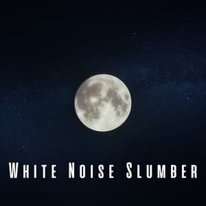 White Noise Slumber: Restful Frequency for Sleep ASMR - White Noise Sleep Therapy