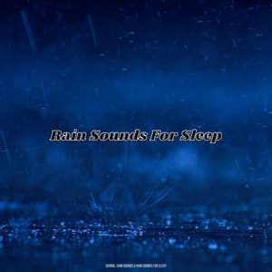 Rain Sounds For Sleep - Derrol