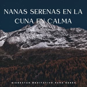 Nanas Serenas En La Cuna En Calma: Bienestar Meditativo Para Bebés - Canticuenticos
