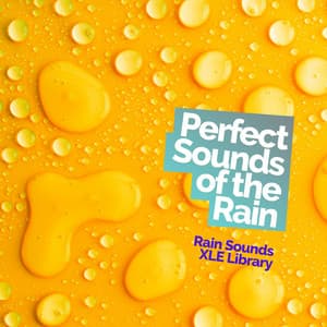 Perfect Sounds of the Rain - Rain Sounds XLE Library