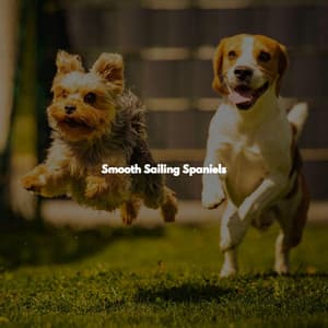 Smooth Sailing Spaniels - Romantico Cafe Jazz