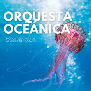 Orquesta Oceánica: Música Relajante De Armonía Del Océano - Serie de sonidos de la naturaleza