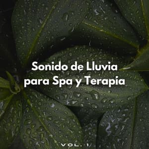 Sonido De Lluvia Para Spa Y Terapia Vol. 1 - Ruido de Lluvia