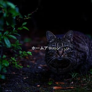 ホームアローン - French Cafe Jazz