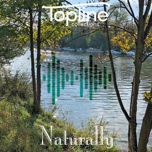 Topline Collections: Naturally - Dave Cooke