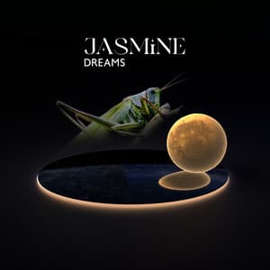 Jasmine Dreams: Soft Meditation Music for Sleep, Relaxing Nature Sounds with Crickets, Instrumental Background Music - Sleep Secrets