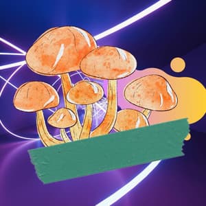 Entertaining Acoustic Smooth Jazz Guitar - Background for Forgetting Time - Cleaning Music Play List