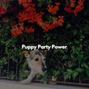 Puppy Party Power - Jazz for Work Classics