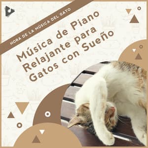 Música de Piano Relajante para Gatos con Sueño - Hora de la Música del Gato