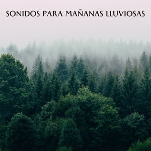 Sonidos Para Mañanas Lluviosas - Sonidos de lluvia y truenos
