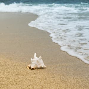 Airplane Noise and Rain White Noise for Sleeping and Mind Focus. Reduce Stress Noise, Calm Down and Better Sleep. - Baby Shusher